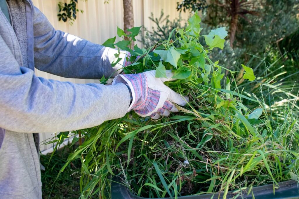 Yard Waste Removal In Niceville Florida